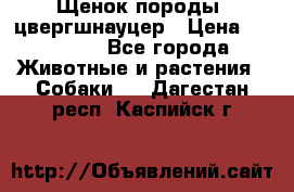 Щенок породы  цвергшнауцер › Цена ­ 30 000 - Все города Животные и растения » Собаки   . Дагестан респ.,Каспийск г.